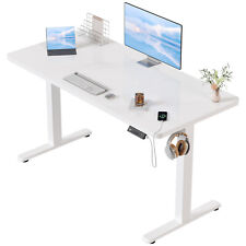 Gunji Electric Standing Desk